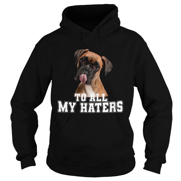 Boxer To All My Haters  Hoodie