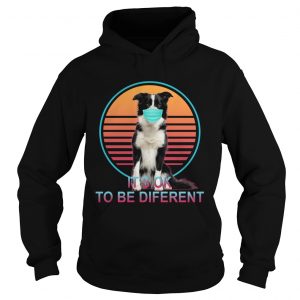 Its Ok To Be Different  Hoodie