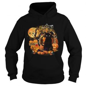 Black Cat Witch Pumpkin Witch Halloween  Hoodie