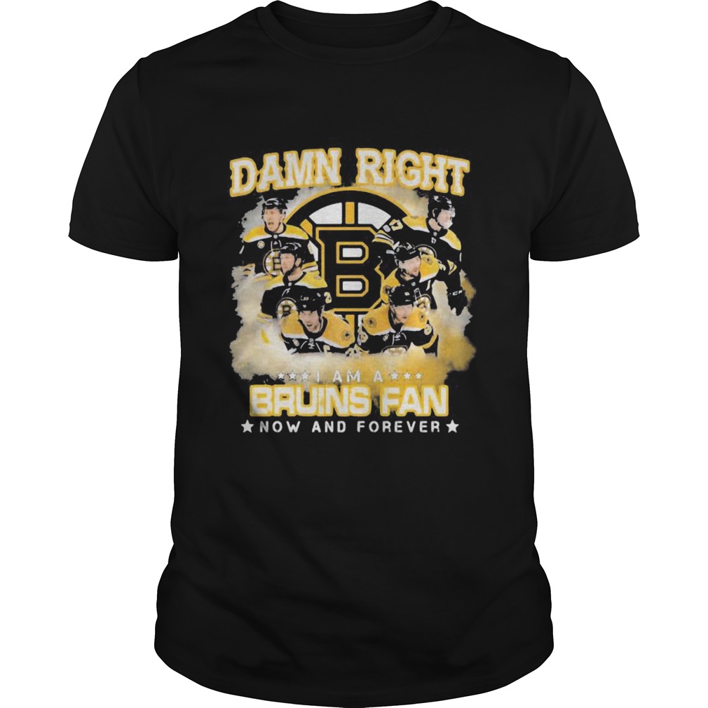 Damn right i am a boston bruins fan now and forever stars shirt