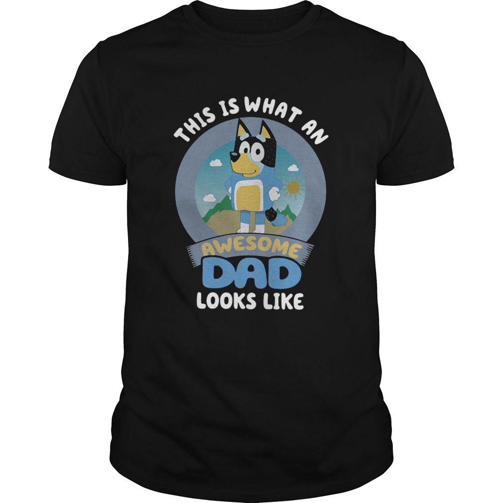 This Is What An Awesome Dad Looks Like shirt