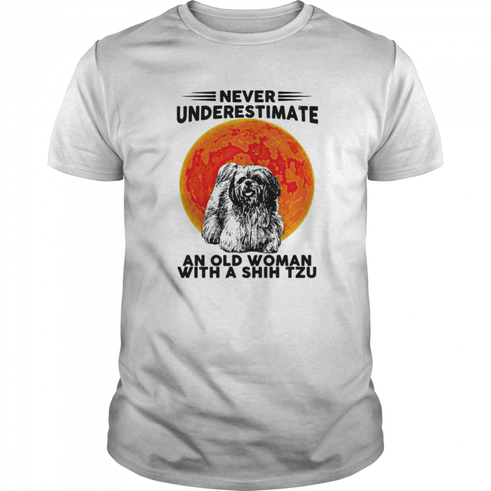 Never Underestimate An Old Woman With A Shih Tzu Dog Moon Halloween  Classic Men's T-shirt