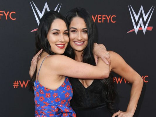 The Cutest Cousins Ever Brie and Nikki Bellas Sons Buddy and Matteo in New Pics