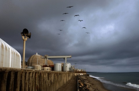 Lawsuit looks to block dismantlement of Southern California's San Onofre nuclear plant