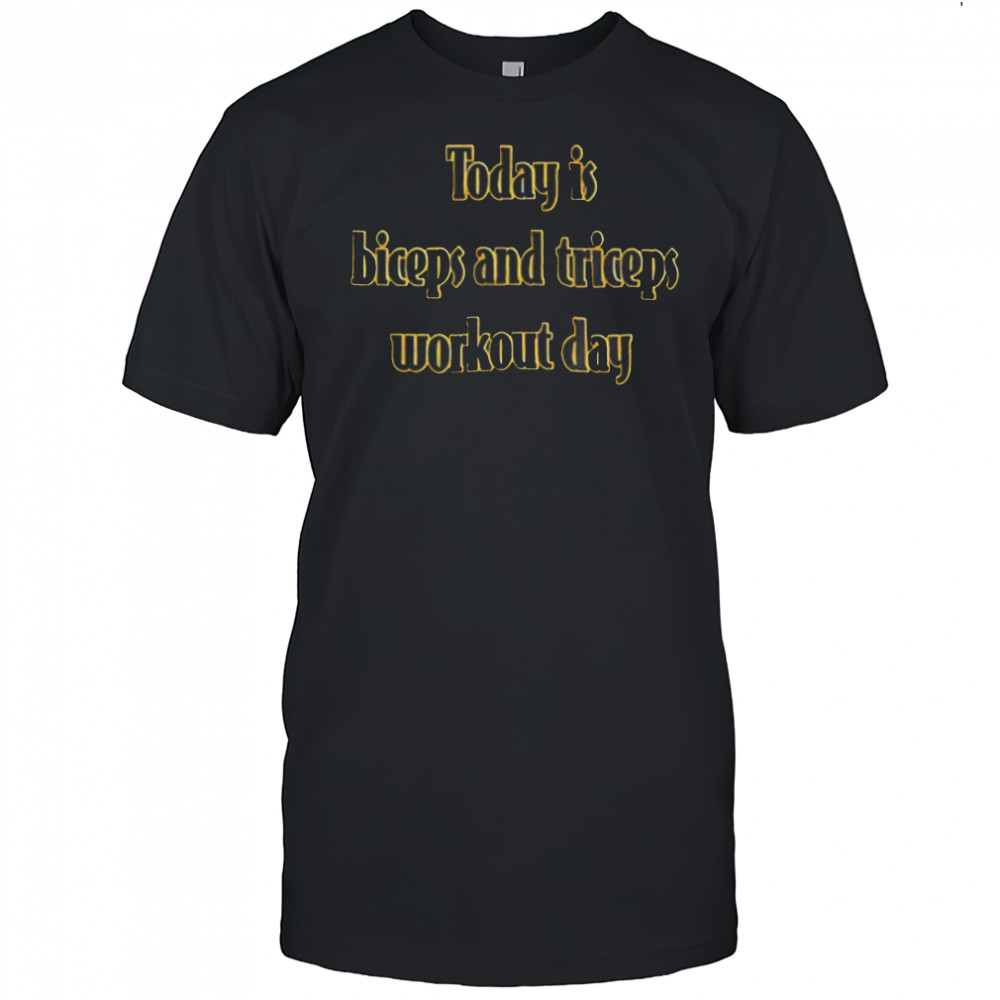 Today is biceps and triceps workout day shirt