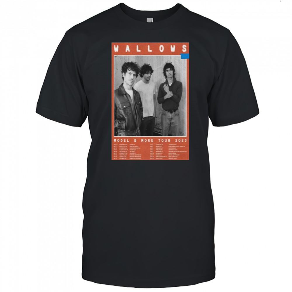 Wallows Model & More Tour 2025 t-shirt
