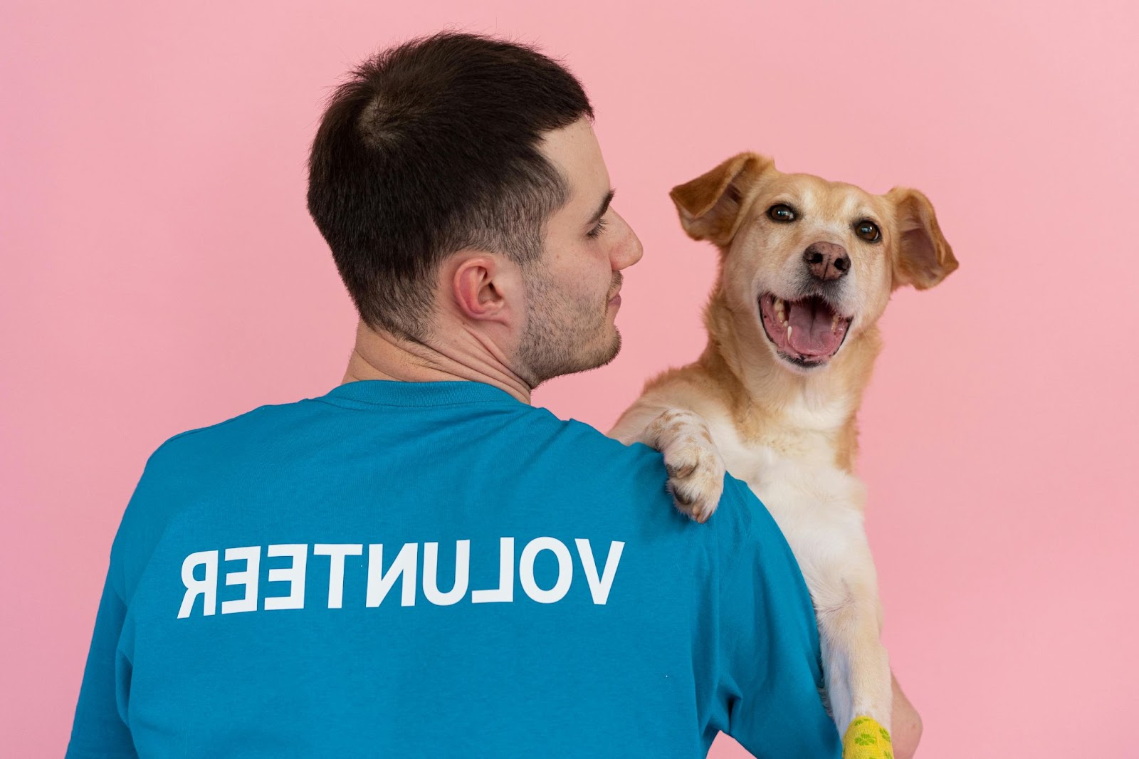 Animal Themed T-Shirts for Causes