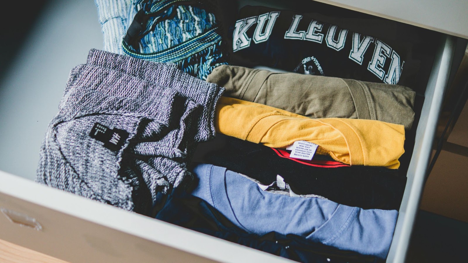 The Evolution of Animal Print T-Shirt Designs