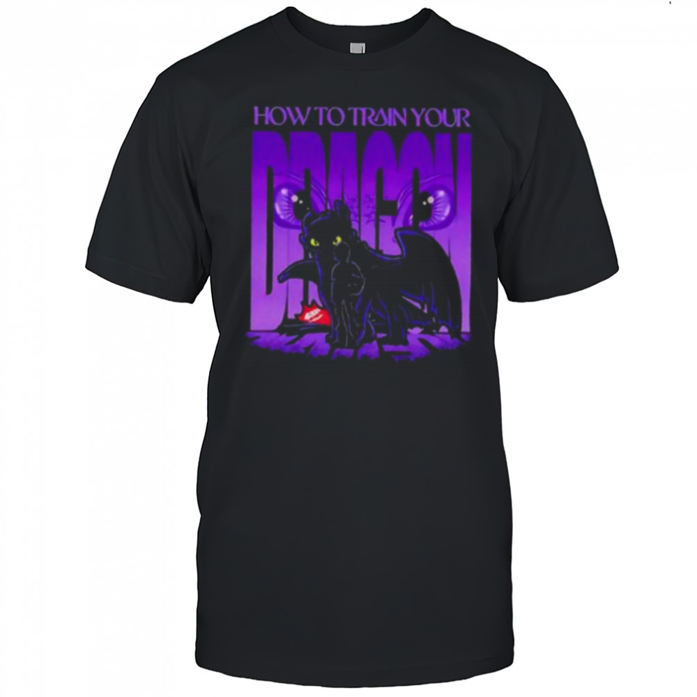 Toothless and Hiccup from How to Train Your Dragon shirt