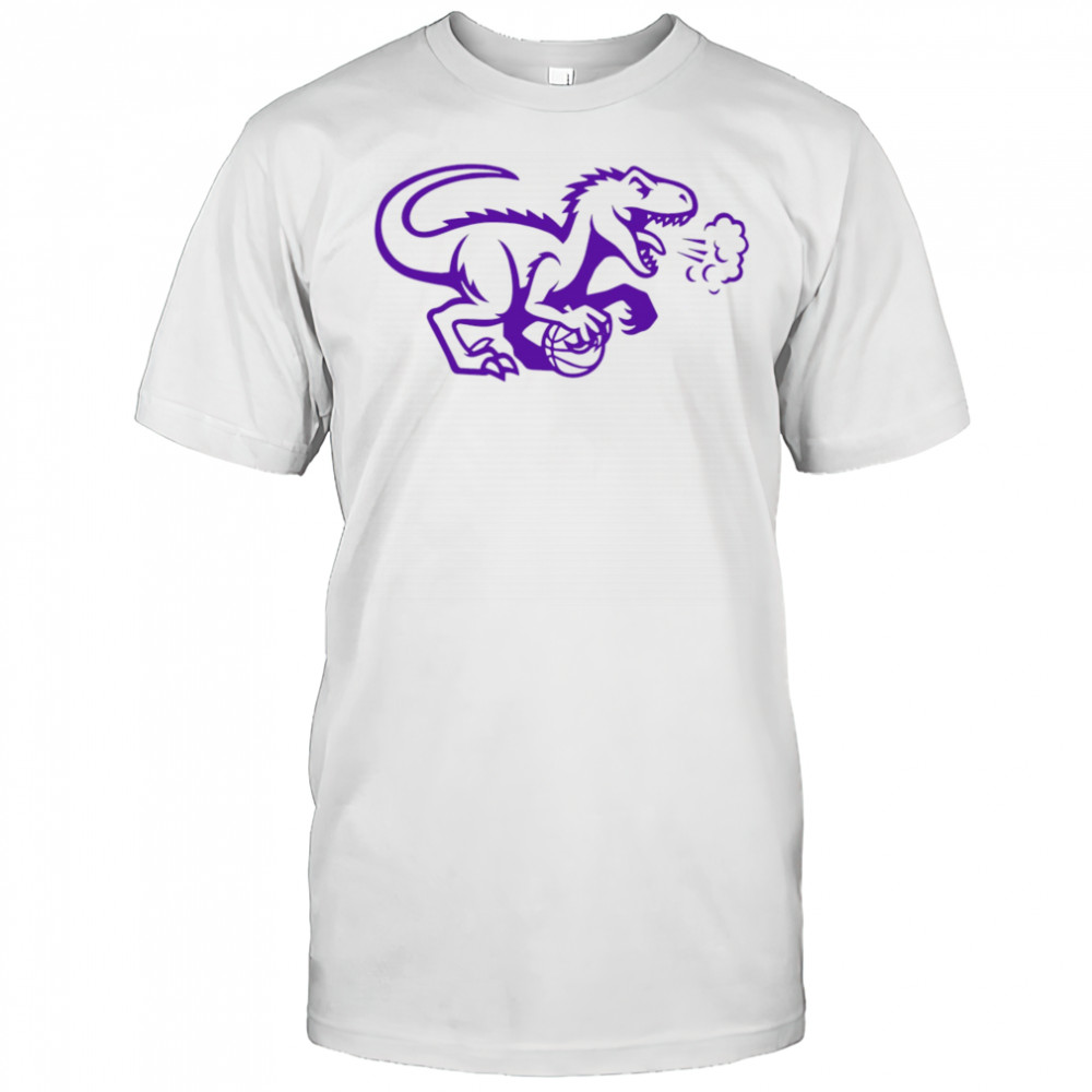 Toronto Raptors logo cute shirt