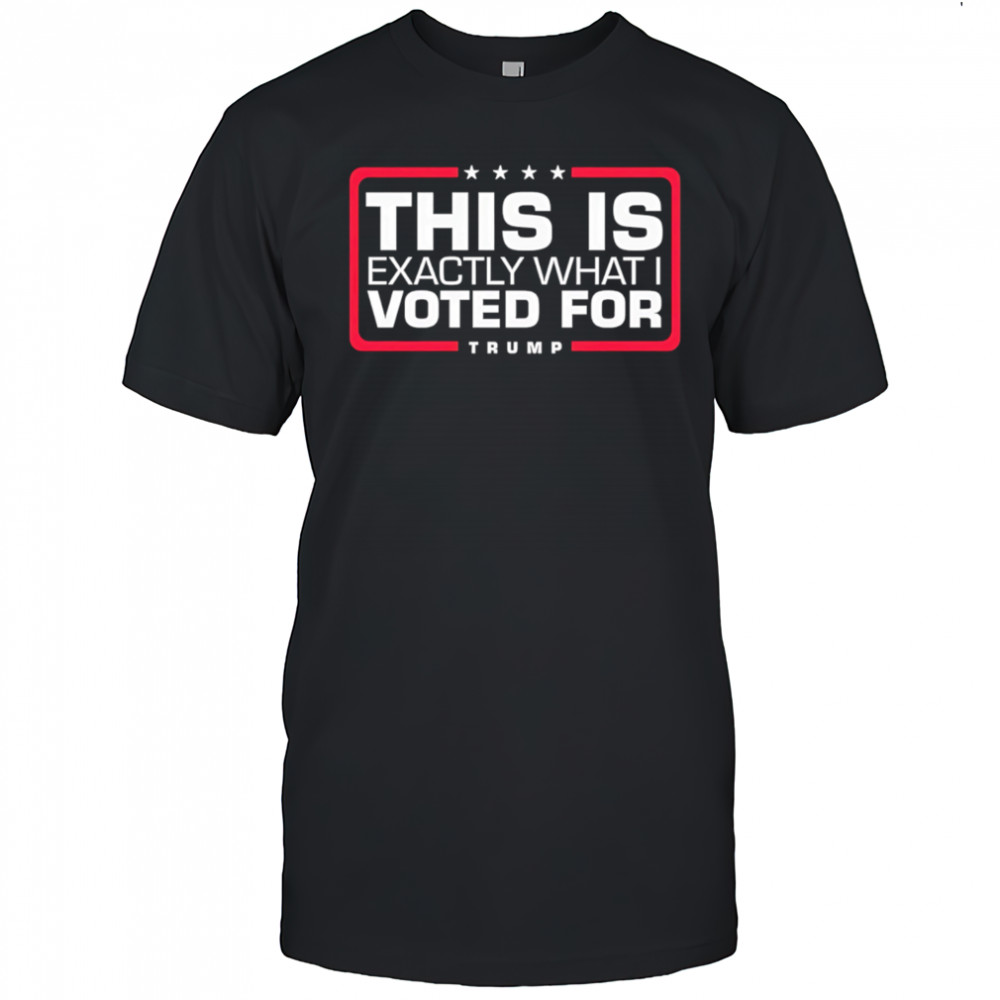 This is exactly what i voted for Trump shirt