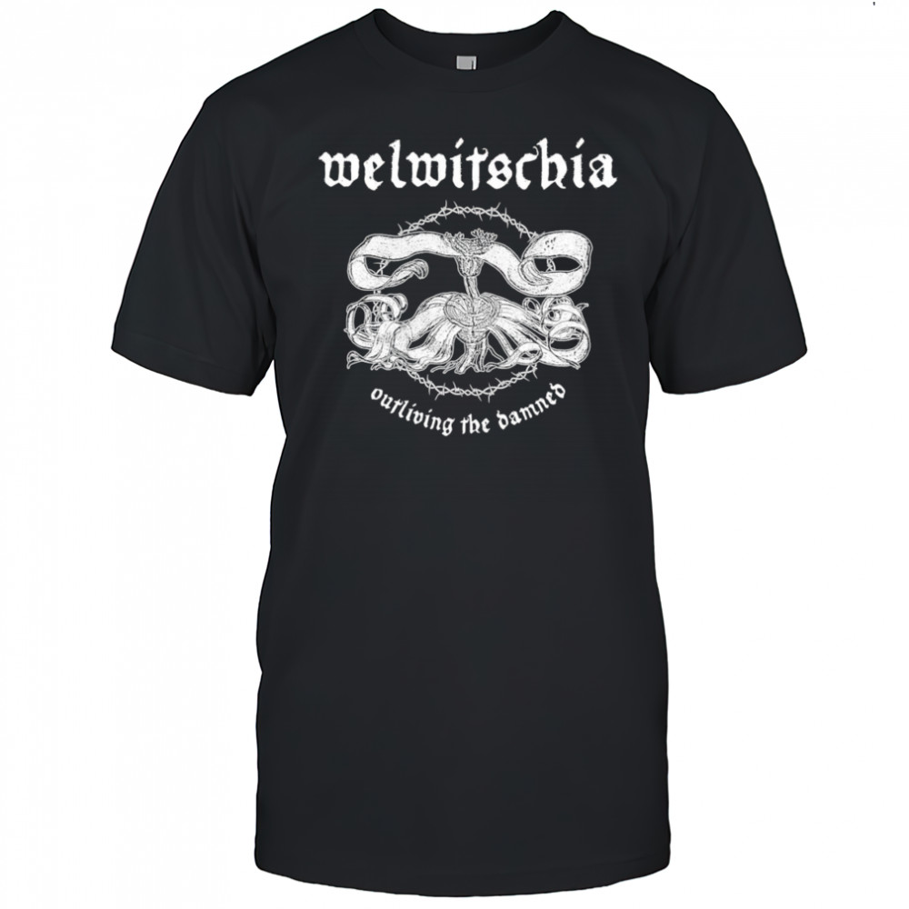Welwitschia outliving the banned shirt