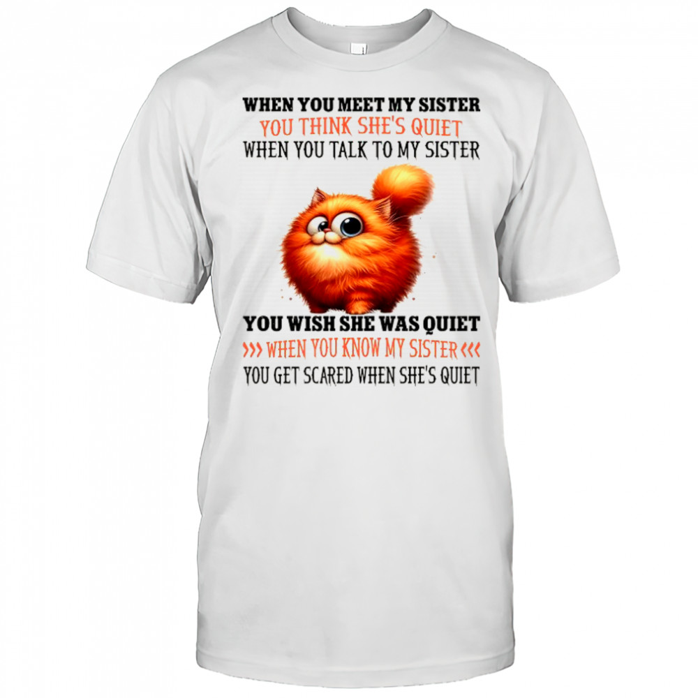 Cat when you meet my sister you think she’s quiet when you talk to my sister shirt