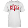 NBA Chicago Bulls Logo Arch shirt