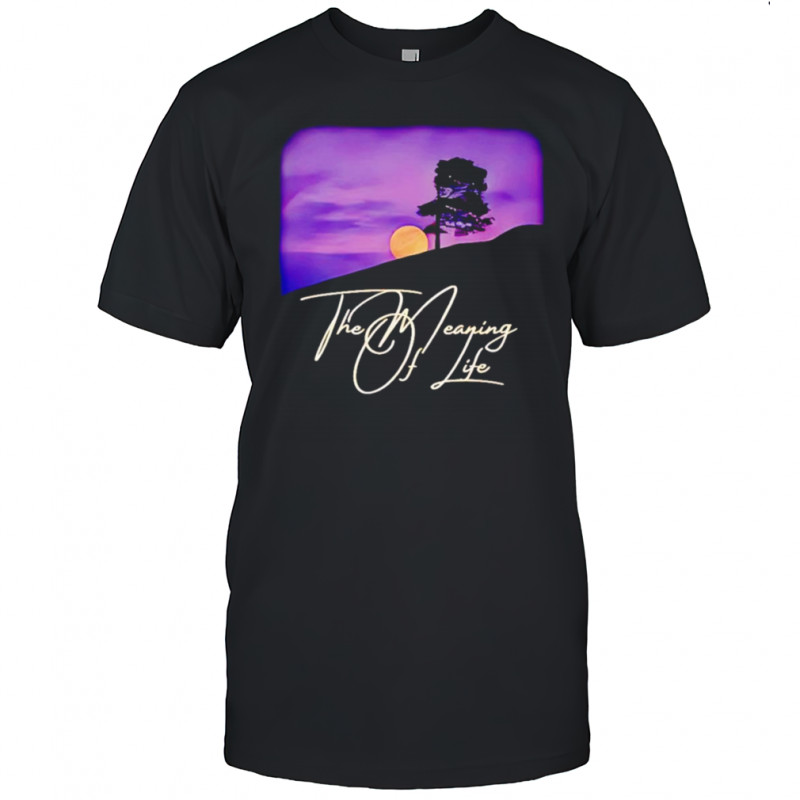 The meaning of life shirt