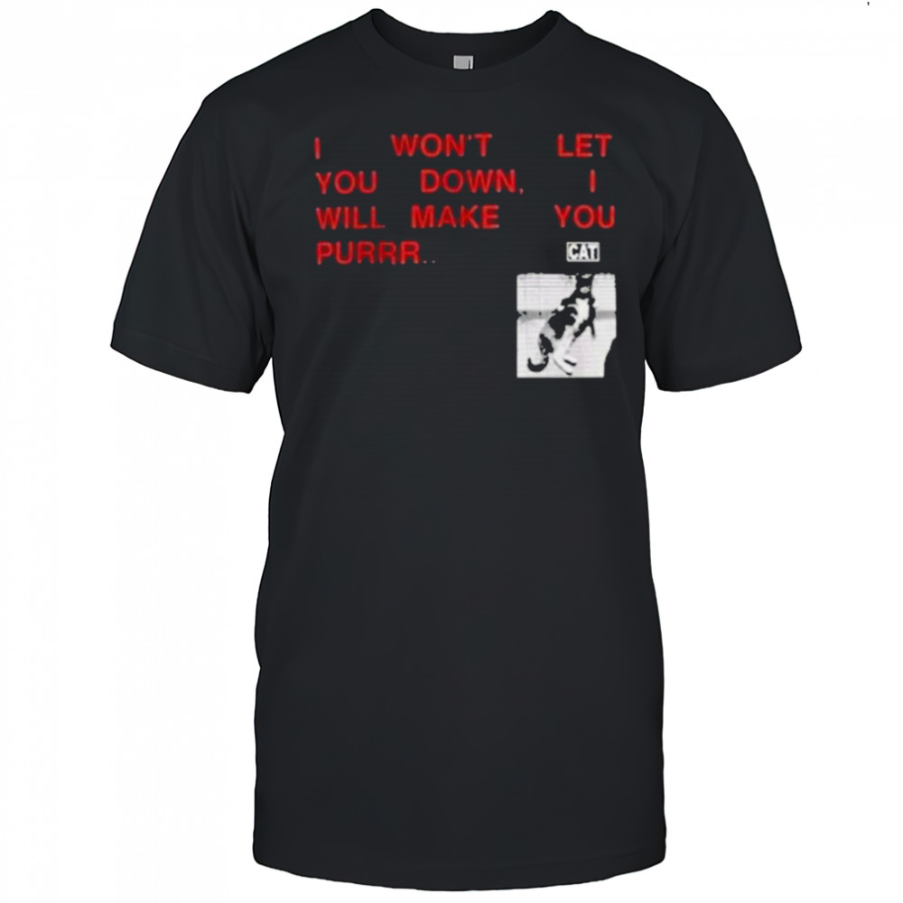 I Won’t Let You Down I Will Make You Purr Cat T-shirt
