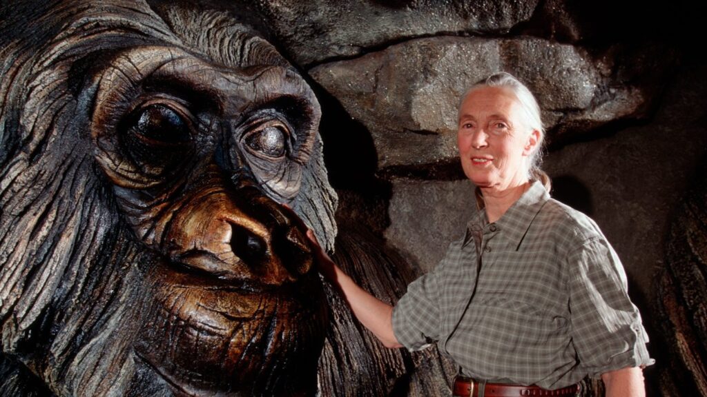 Remembering Dr. Jane Goodall