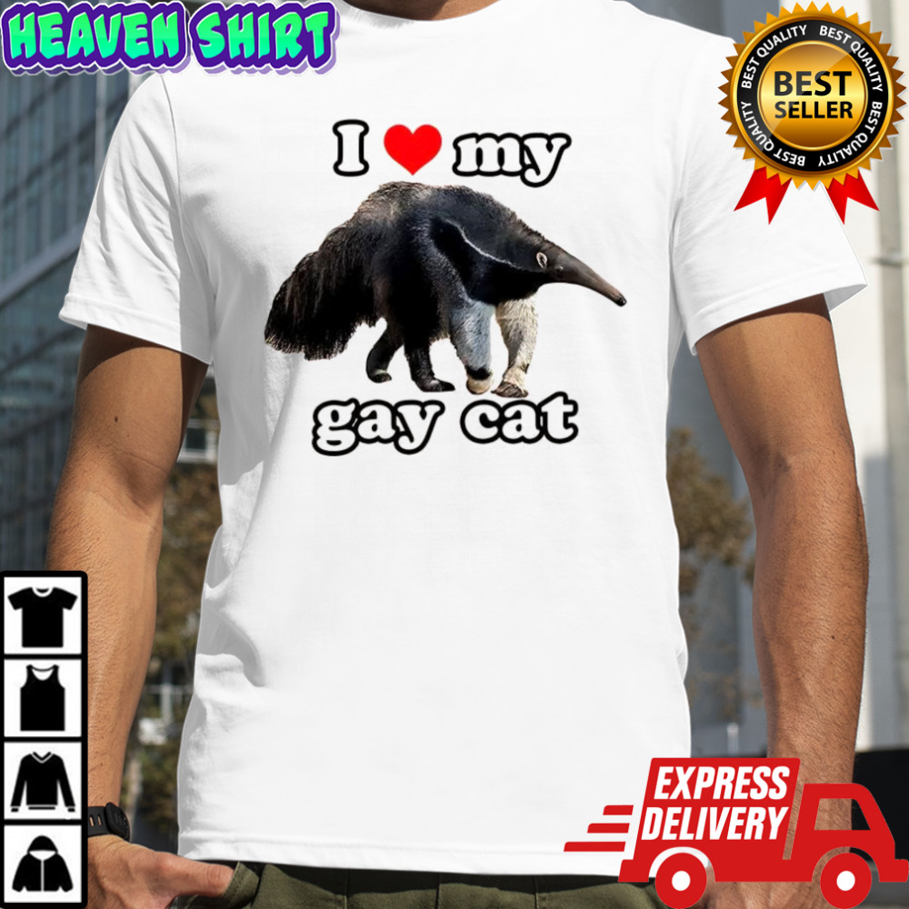 I love my gay cat shirt