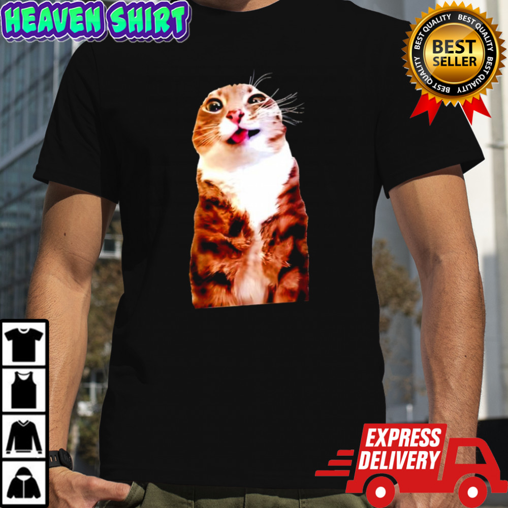 Rigby Cat Meme graphic shirt