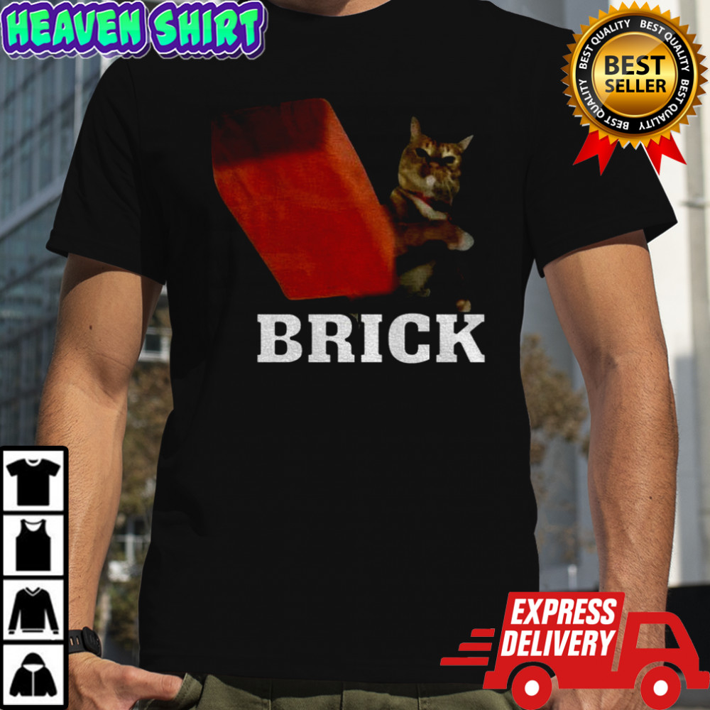 Funny cat throwing brick meme shirt