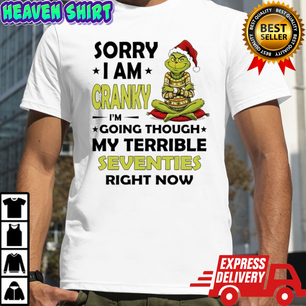 Grinch Santa hat sorry i am cranky i’m going though my terrible seventies right now shirt