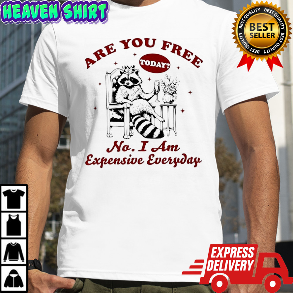 Raccoon Are You Free Today No I Am Expensive Everyday shirt
