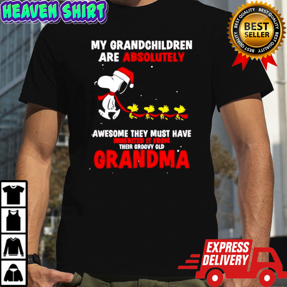 Snoopy Woodstock Santa hats awesome they must have inherited it from their groovy old grandma shirt